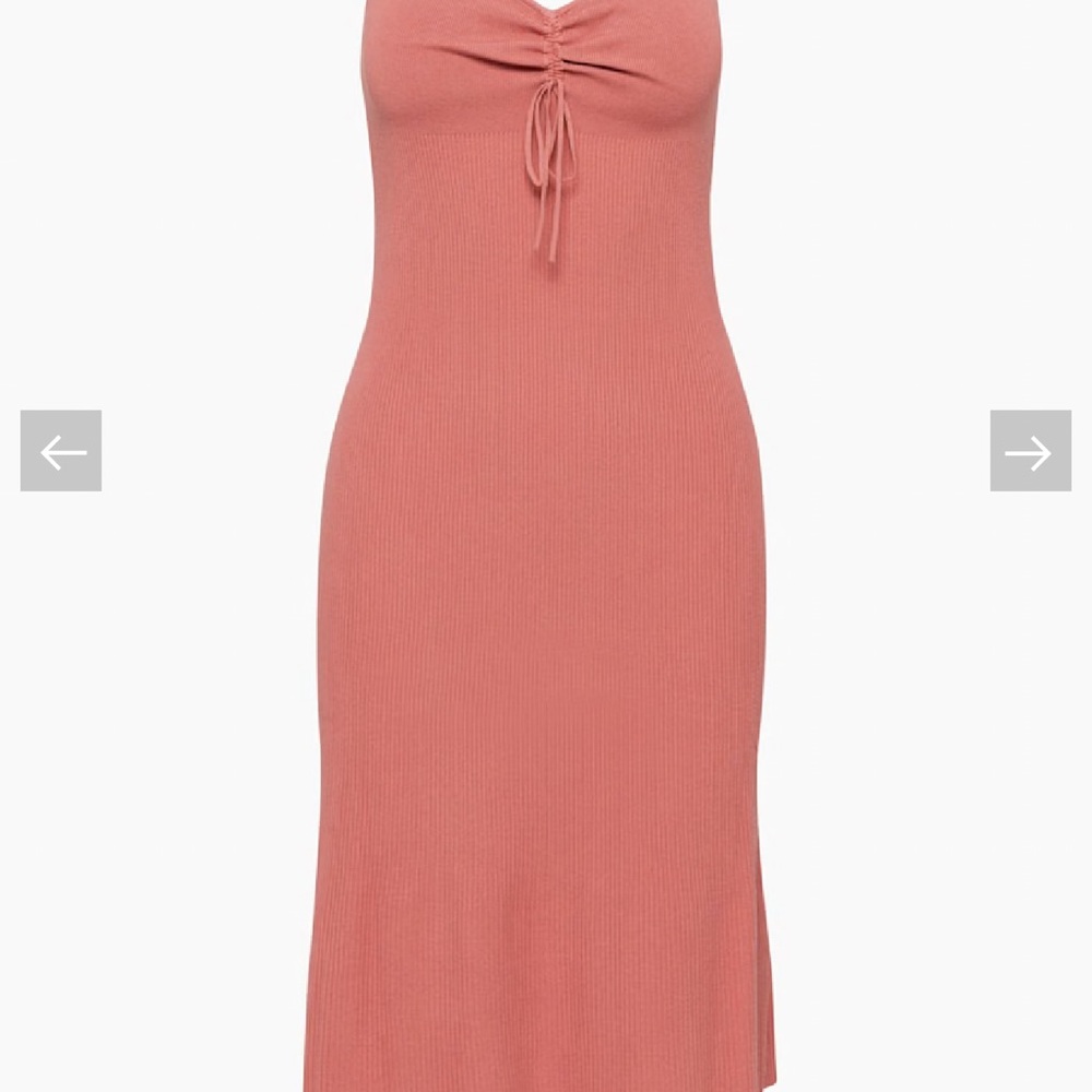 Aritzia Wilfred Mystery dress
